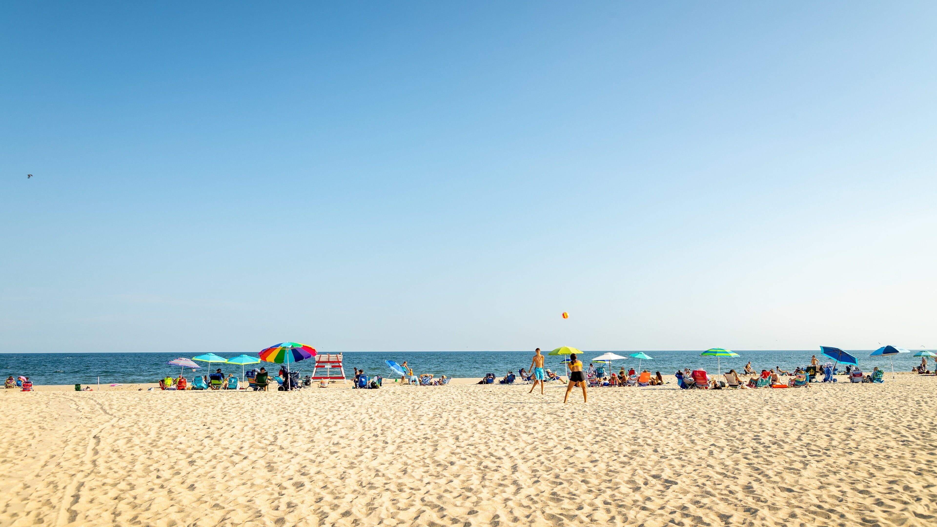 Poverty Beach showing a beach and general coastal views as well as a large group of people