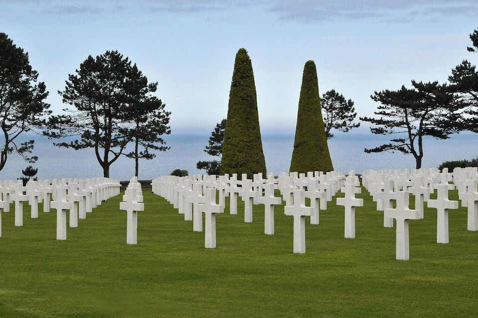 A cemetery with white crosses and tall trees.
