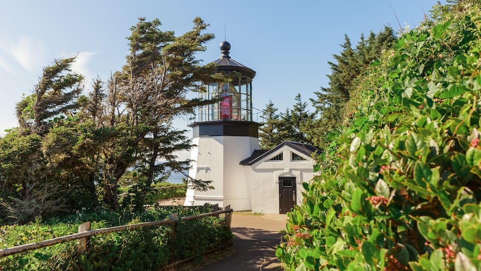 A lighthouse with a glass lantern room, surrounded by dense greenery and trees.