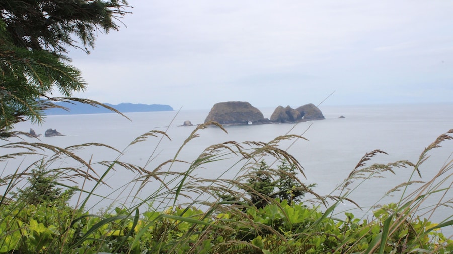 Right off from the lighthouse! Amazing!! #nature #ocean #pacificnorthwest