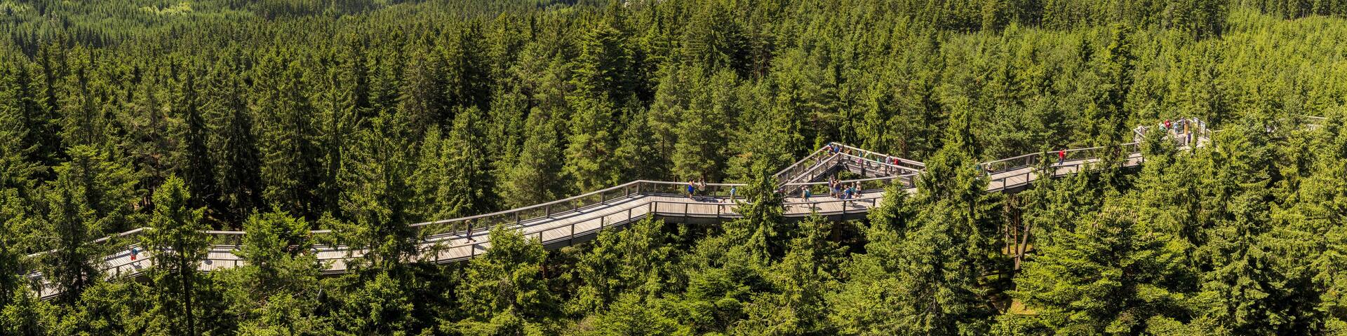 Amazing panorama of Lipno Dam and Sumana national park from Treetop Walkway, Lipno nad Vltavou, South Bohemia, Czech Republic
