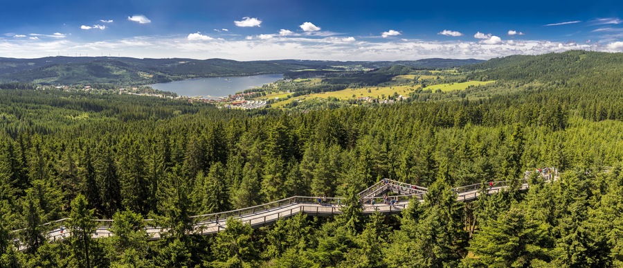 Amazing panorama of Lipno Dam and Sumana national park from Treetop Walkway, Lipno nad Vltavou, South Bohemia, Czech Republic