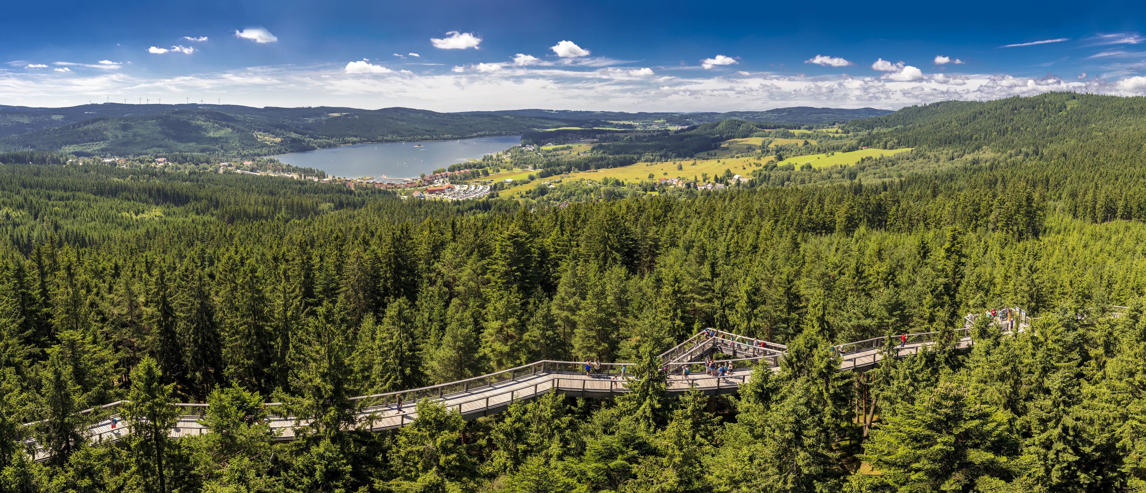 A forested landscape with a lake, a bridge, and distant buildings.