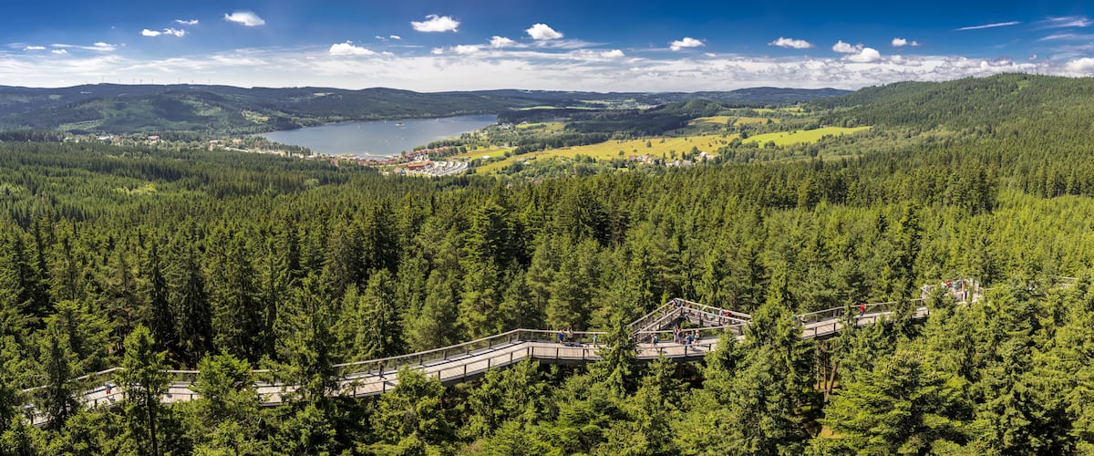 A forested landscape with a lake, a bridge, and distant buildings.