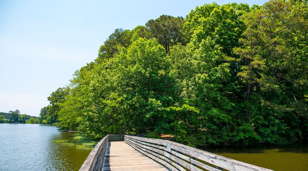 a long brown wooden bridge over the rippling waters of Lake Acworth surrounded by lush green trees and plants with blue sky at Cauble Park in Acworth Georgia USA