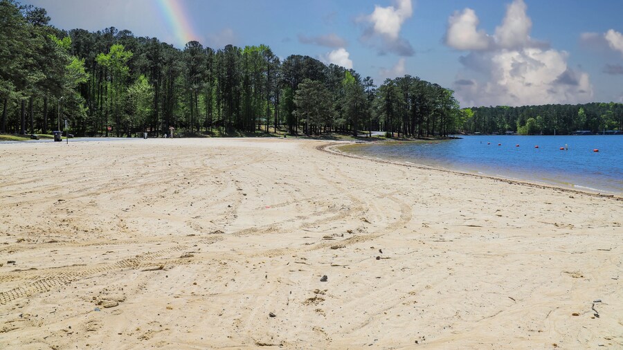 Parque Dallas Landing