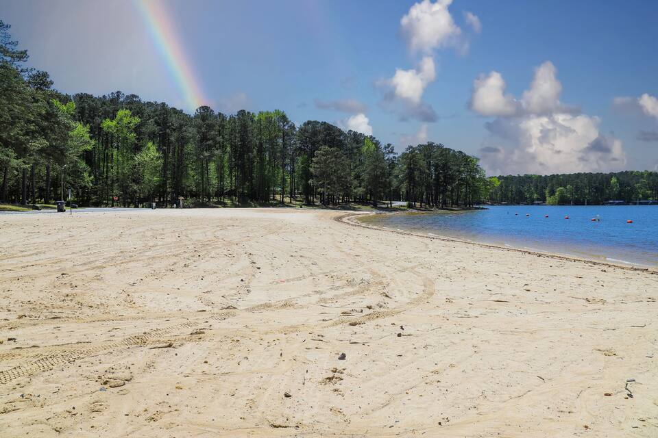 A sandy beach with a rainbow, dense pine trees, and a calm lake.