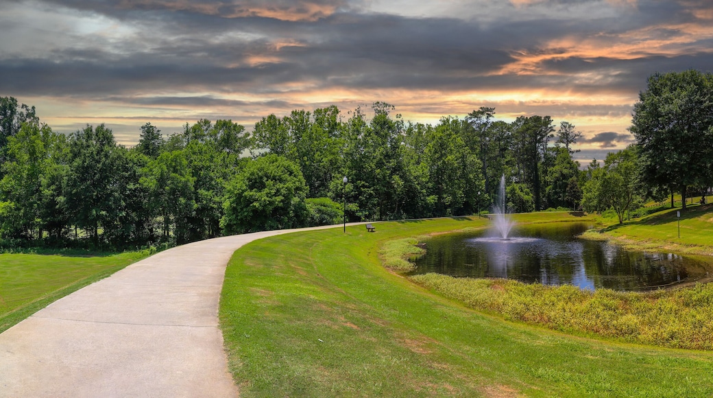 a panoramic shot of a gorgeous summer landscape in the park with a pond with a water fountain in the center surrounded by lush green trees, grass and plants with powerful clouds at sunset