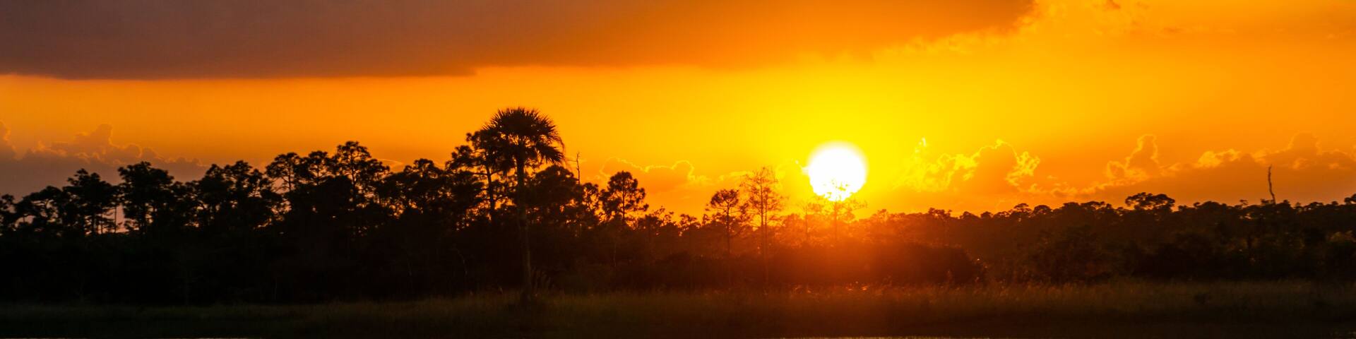 Sunset at Pine Glades Natural Area, Jupiter, Palm Beach County, Florida, USA