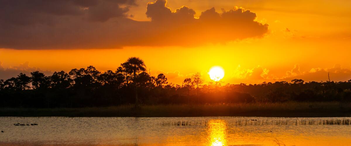 A sunset over a calm lake with silhouettes of trees and a clear sky.