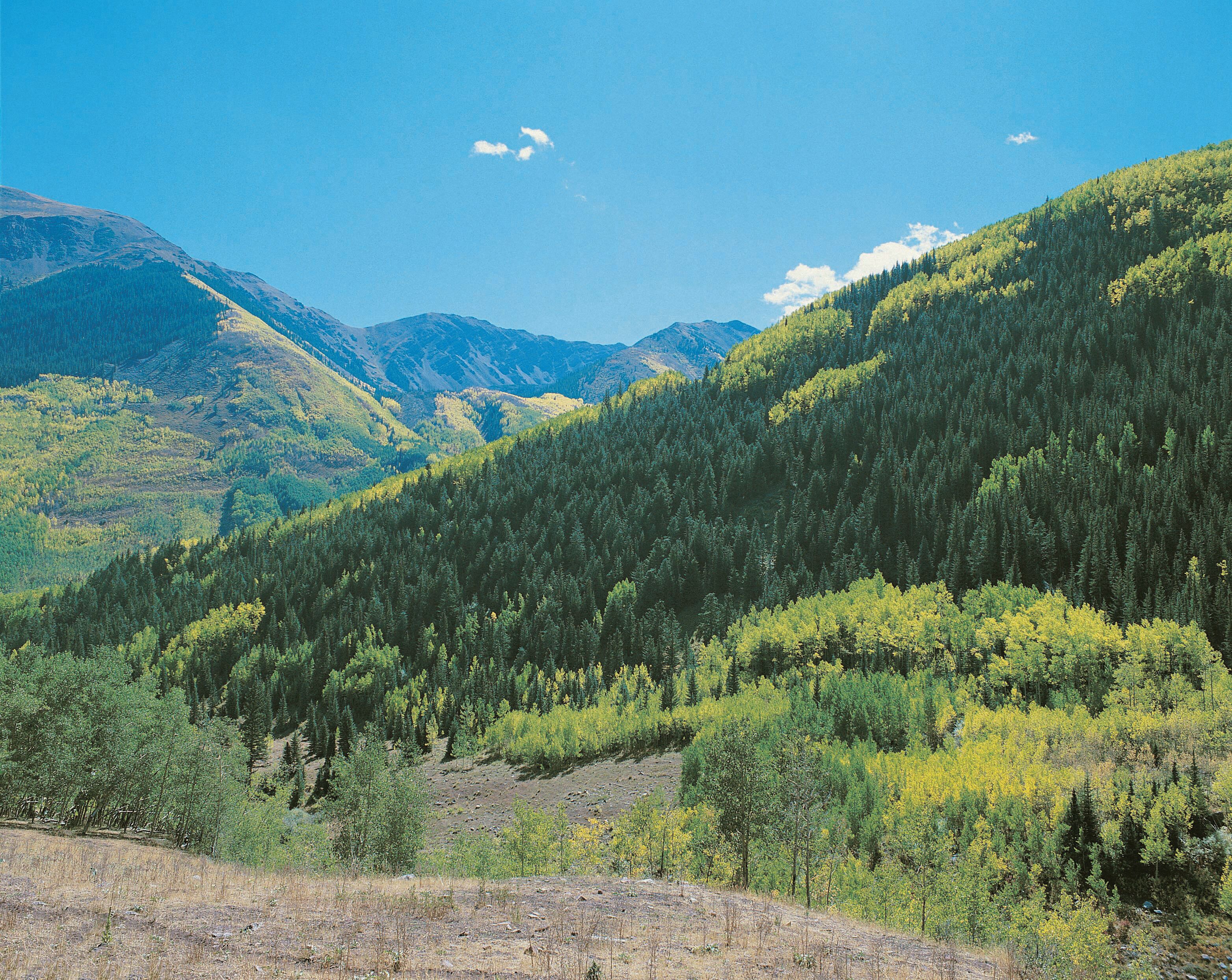 A mountainous landscape with dense forests and a clear sky.