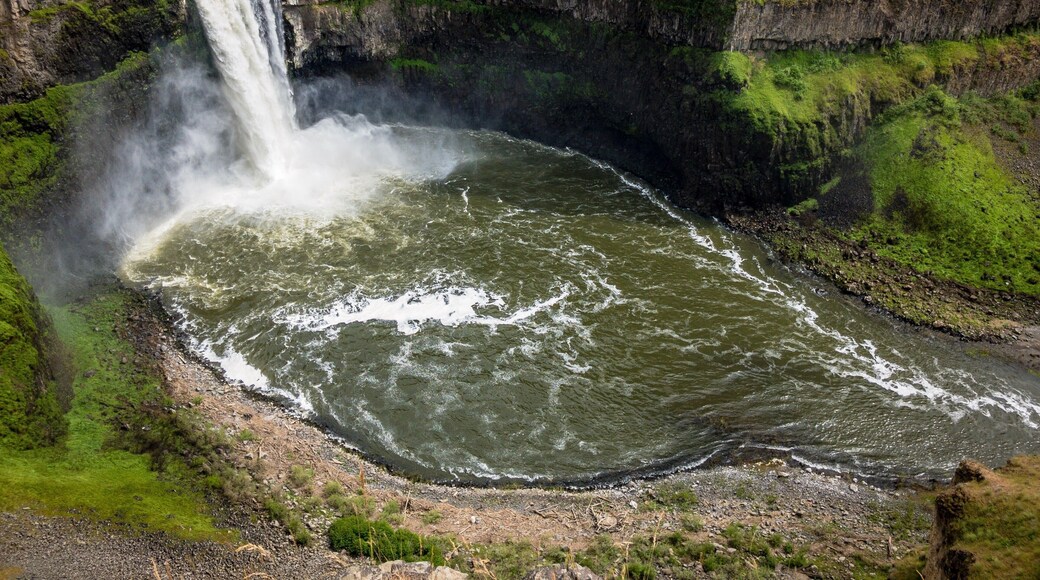 From the WTA website: The iconic Palouse Falls that has been deemed the official waterfall of Washington State is not to be missed. At the end of the last ice age, repeated glacial floods, known as the Missoula Floods, swept across eastern Washington carving out the unique scablands landscape we see today. Among the coulees, potholes, buttes, and plateaus, Palouse Falls remains as one of the magnificent and lasting remnants of these glacial floods. It is the only major waterfall left along this thousands of years old glacial flood path, and as of February 12, 2014, is Washington's official state waterfall. Standing at a height of 198 feet and surrounded by striking basalt cliffs, the powerful waterfall lies on the Palouse River upstream of the confluence with the Snake River. #lifeatexpedia #GreatOutdoors #Nature