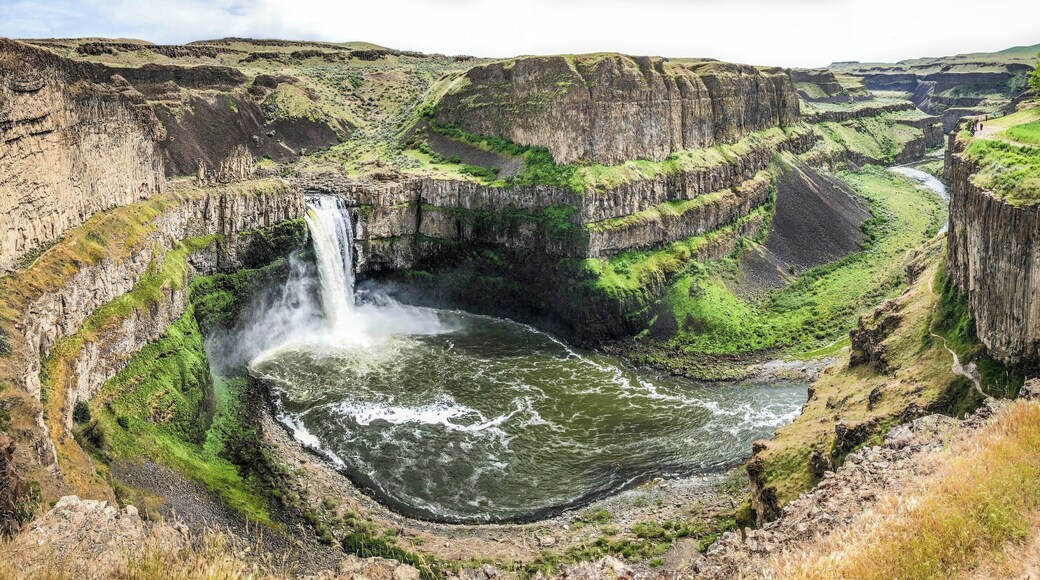 From the WTA website: The iconic Palouse Falls that has been deemed the official waterfall of Washington State is not to be missed. At the end of the last ice age, repeated glacial floods, known as the Missoula Floods, swept across eastern Washington carving out the unique scablands landscape we see today. Among the coulees, potholes, buttes, and plateaus, Palouse Falls remains as one of the magnificent and lasting remnants of these glacial floods. It is the only major waterfall left along this thousands of years old glacial flood path, and as of February 12, 2014, is Washington's official state waterfall. Standing at a height of 198 feet and surrounded by striking basalt cliffs, the powerful waterfall lies on the Palouse River upstream of the confluence with the Snake River. #lifeatexpedia #panorama #GreatOutdoors #Nature