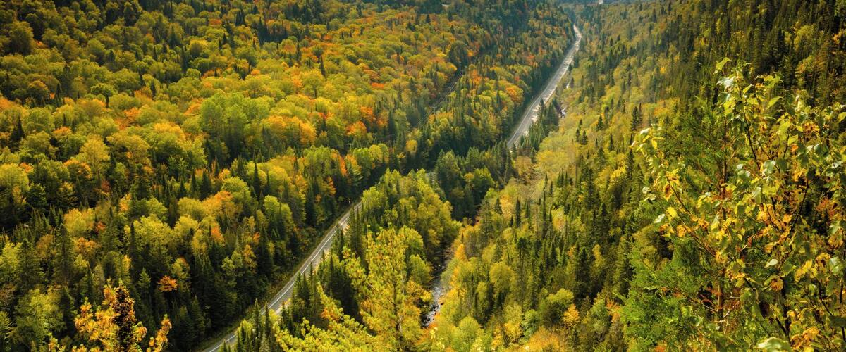 A forested valley with a winding road.