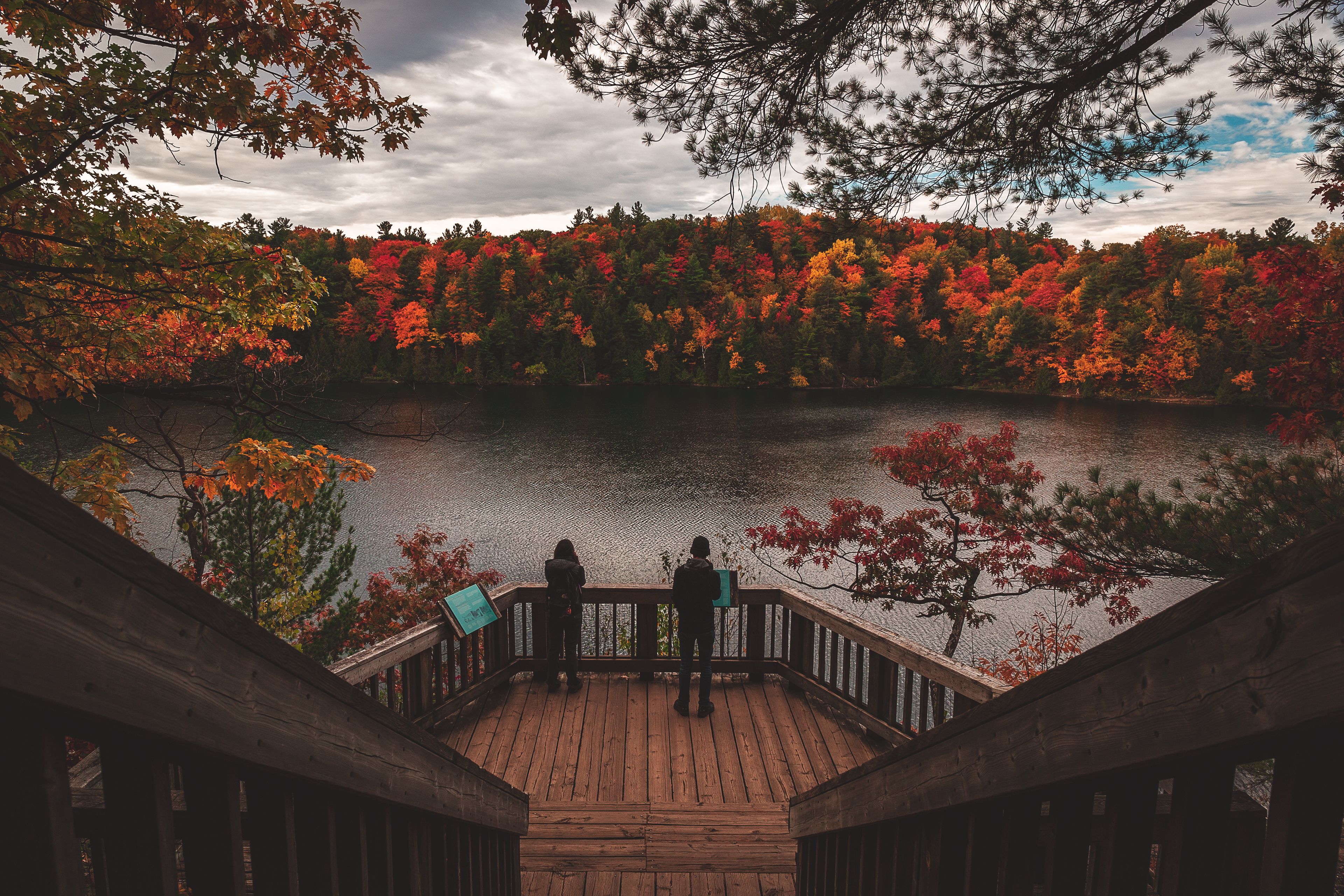Fall Foliage in Gatineau Park near Ottawa, Ontario in October