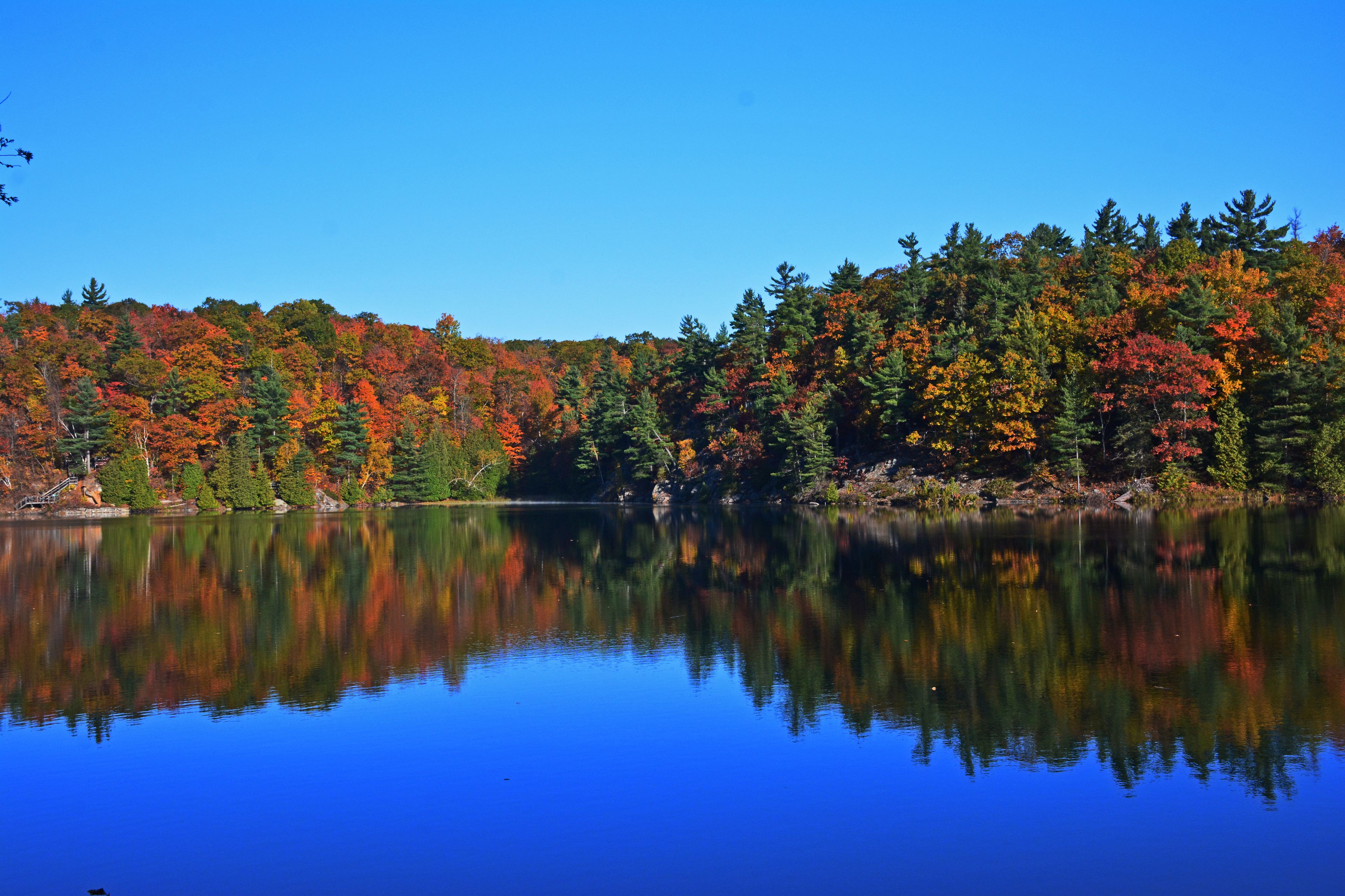 autumn in Gatineau Park, Quebec, Canada