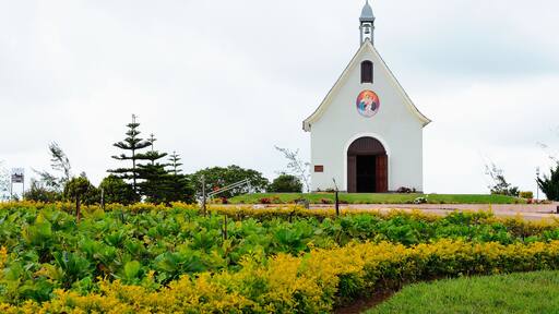 Pequena capela com natureza em Garanhuns