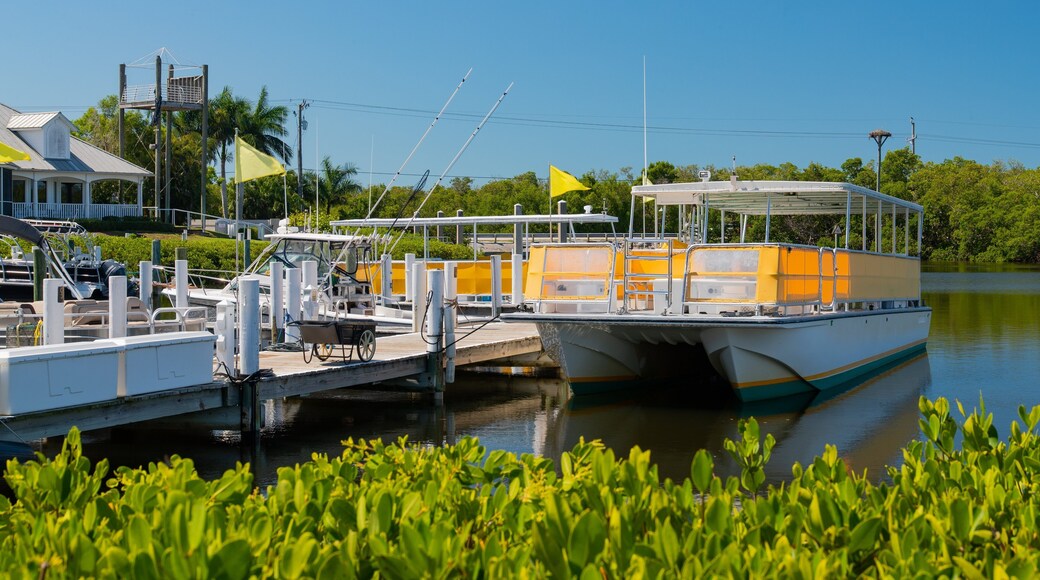 Fort Myers which includes a bay or harbor
