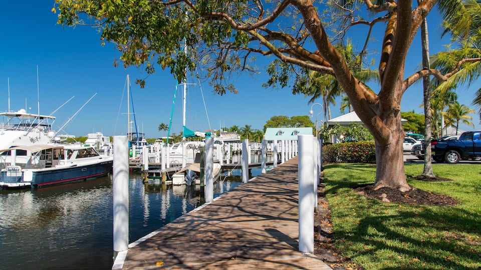 A marina with boats docked, a wooden walkway, and a palm tree.