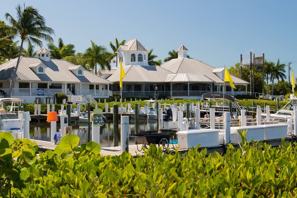 A marina with boats docked, a building with a white facade and a tower, and palm trees in the background.