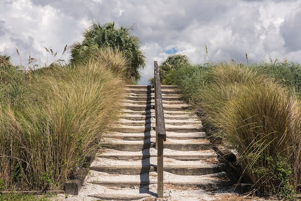 Hillside stairway of railroad ties and gravel flanked by thickets of ornamental grass in a coastal nature preserve and county park on a cloudy afternoon in summer, southwest Florida