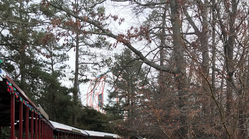 Train to new england