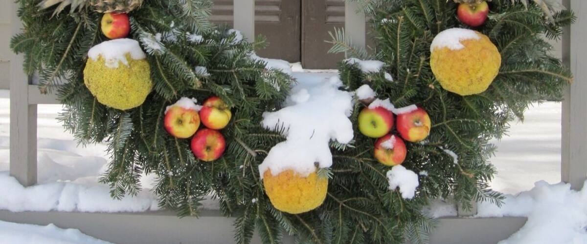 Christmastime is the most joyful of seasons in Colonial Williamsburg, and certainly the best time to visit. The entire town is adorned with handmade wreaths such as this one, all containing fresh fruit or unique items that correspond with the building they're placed on. Steaming colonial-style hot chocolate is served by a few of the buildings, and fireplaces are aplenty.