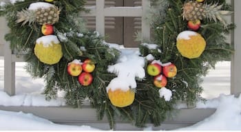 Christmastime is the most joyful of seasons in Colonial Williamsburg, and certainly the best time to visit. The entire town is adorned with handmade wreaths such as this one, all containing fresh fruit or unique items that correspond with the building they're placed on. Steaming colonial-style hot chocolate is served by a few of the buildings, and fireplaces are aplenty.