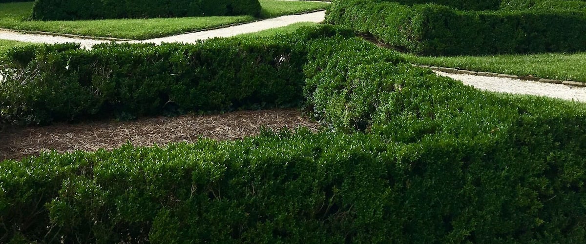 Williamsburg,One of the oldest cities in America