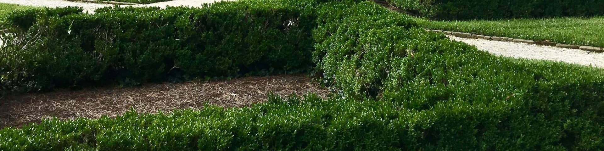 Williamsburg,One of the oldest cities in America