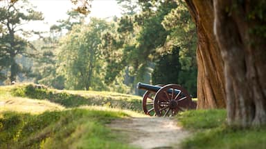 Williamsburg showing tranquil scenes, a park and military items