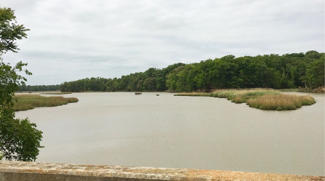 This is on the way to James town Virginia the first white man colony to contribute to "America" as we know it today. #springfun