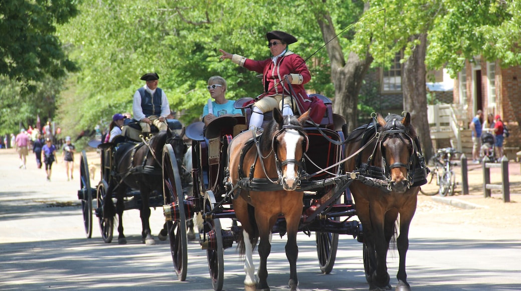 Williamsburg City County