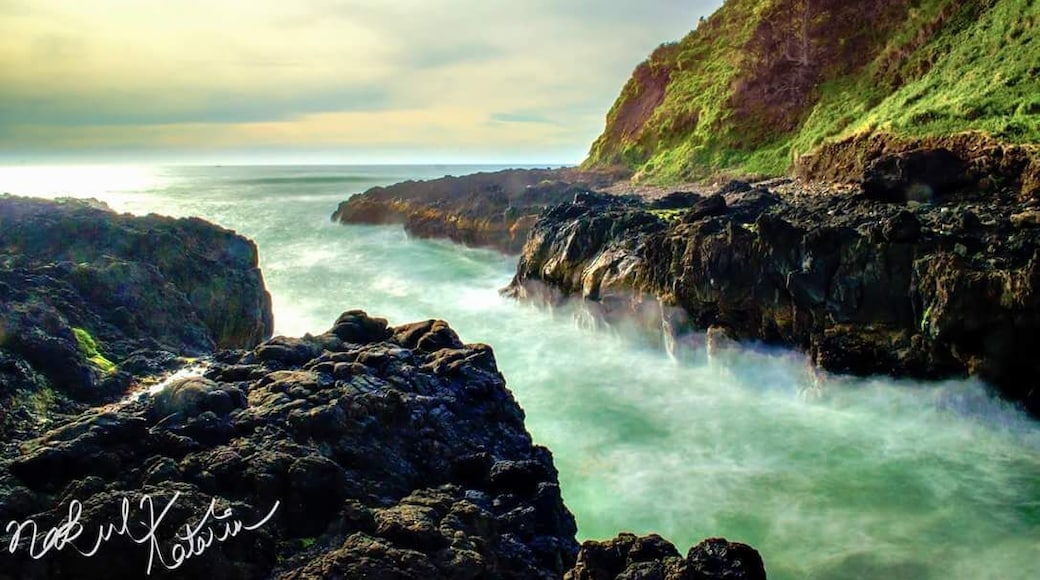 Cape Perpetua is a place full of surprises, one being Devils Churn.
The other places to look out for in the area are Cook's Chasm, and Thor's Well. It looks best during the high tide.