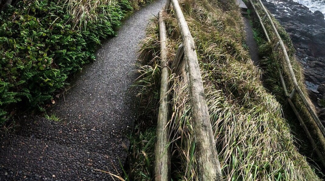 The restless waters below never did cease, leading to this spots name, Devils Churn. They are relentless, and would easily eat you for lunch!