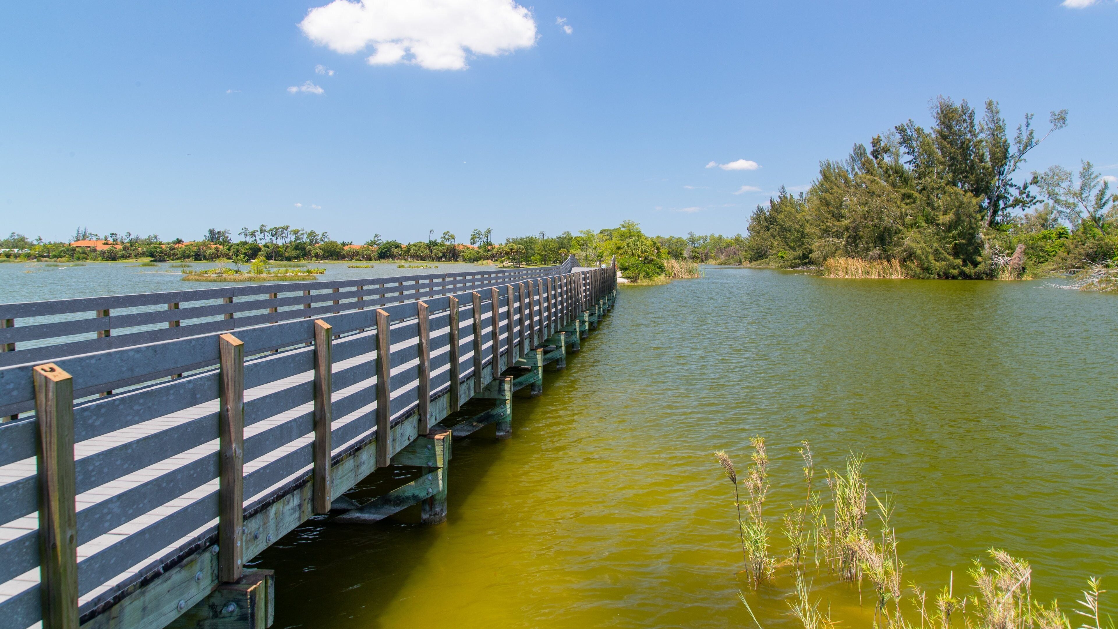Lakes Regional Park featuring a lake or waterhole