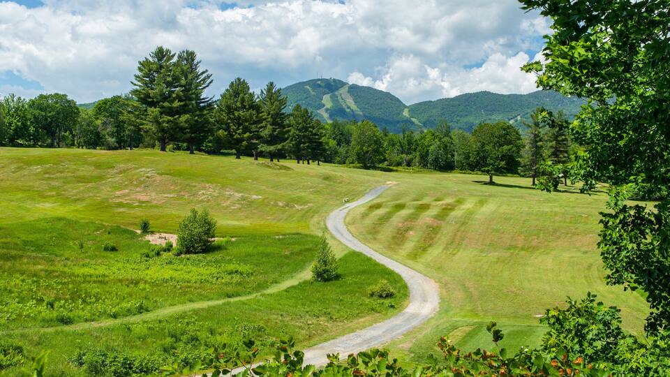 A winding road through a lush green field with trees and mountains in the background.