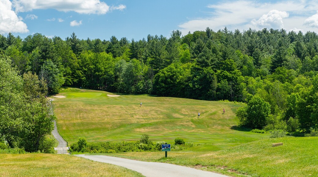 Club de Golf du Mont Orford which includes golf