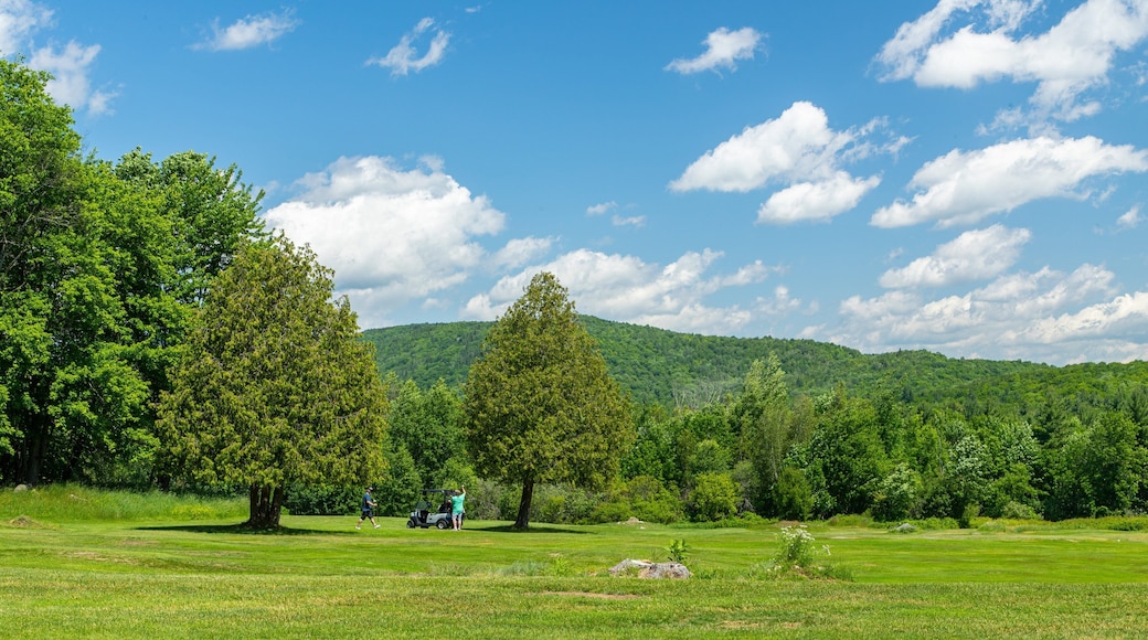 Club de Golf du Mont Orford showing golf