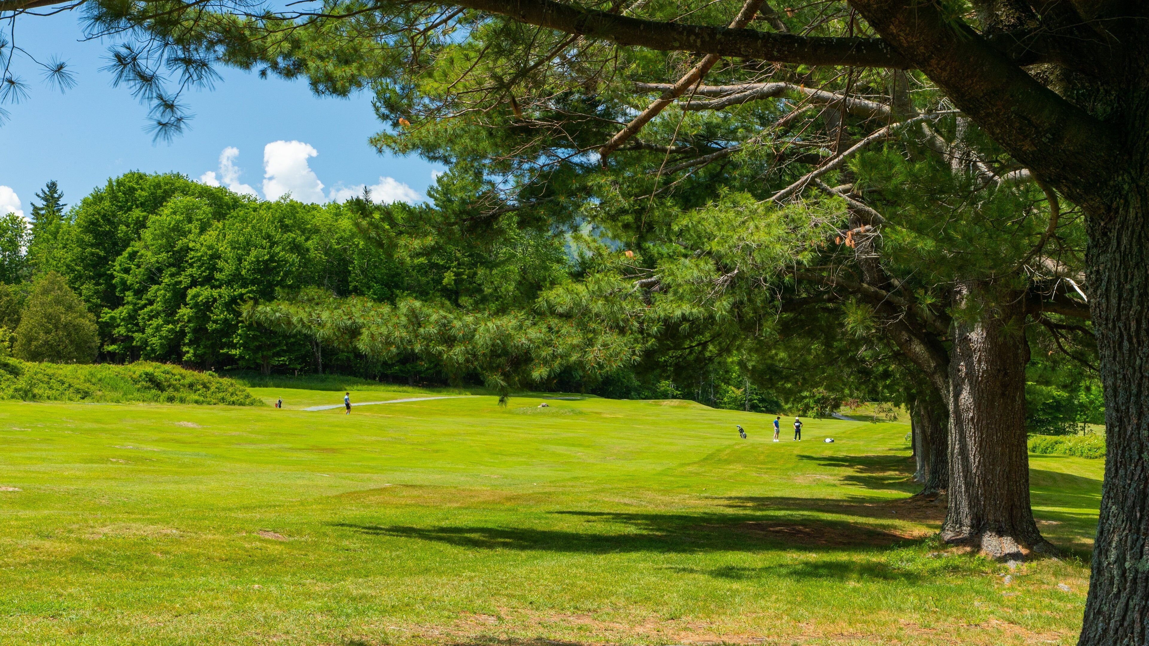 Club de Golf du Mont Orford featuring golf