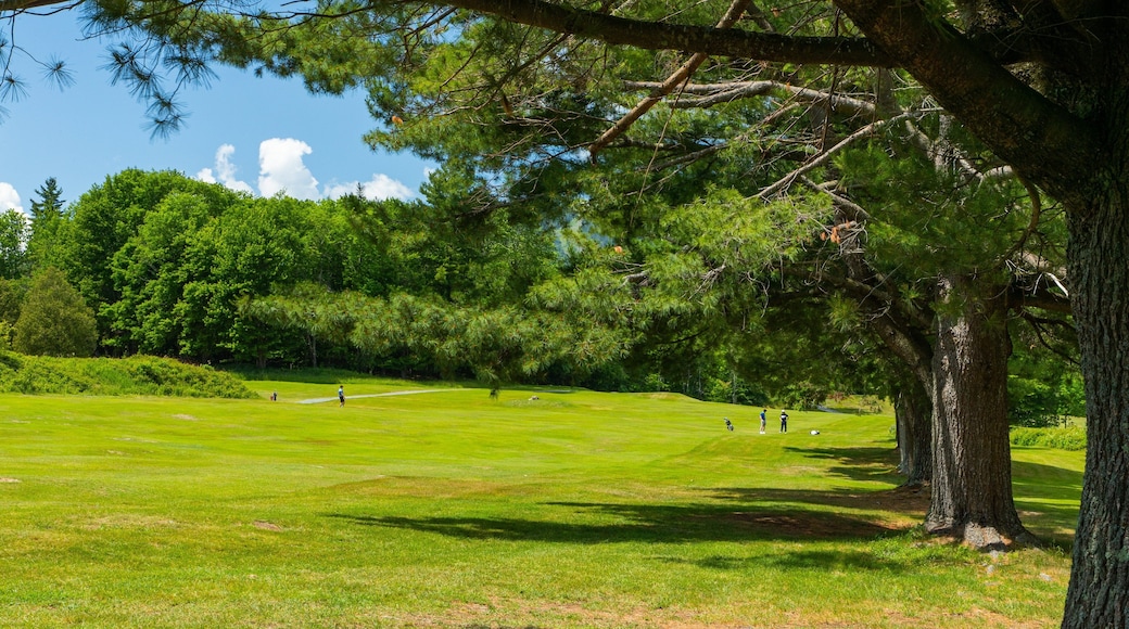 Club de Golf du Mont Orford featuring golf