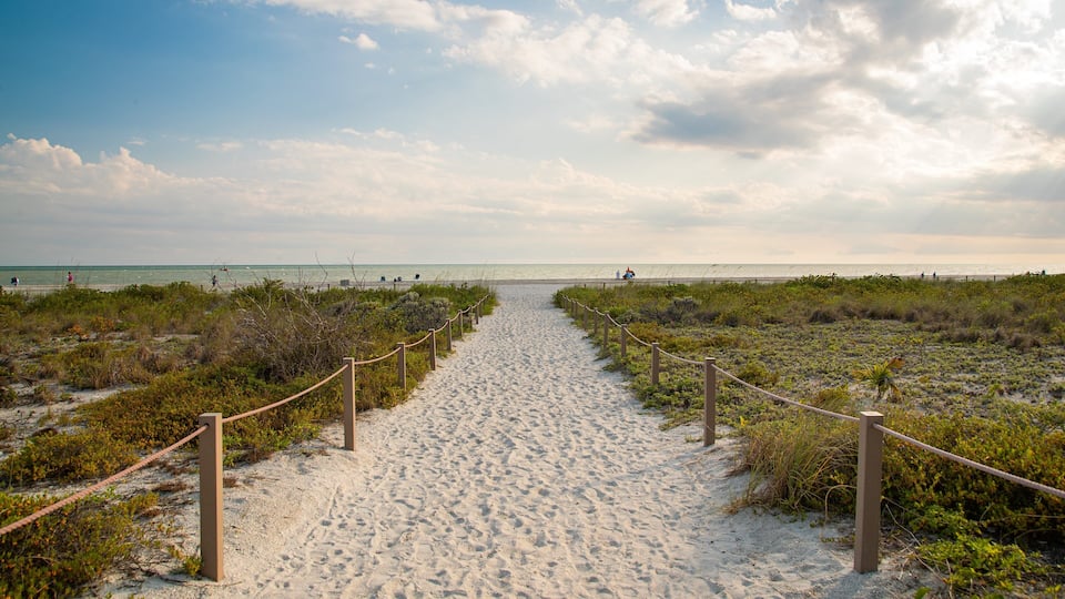 A sandy beach path with wooden posts and rope barriers, leading to the ocean.