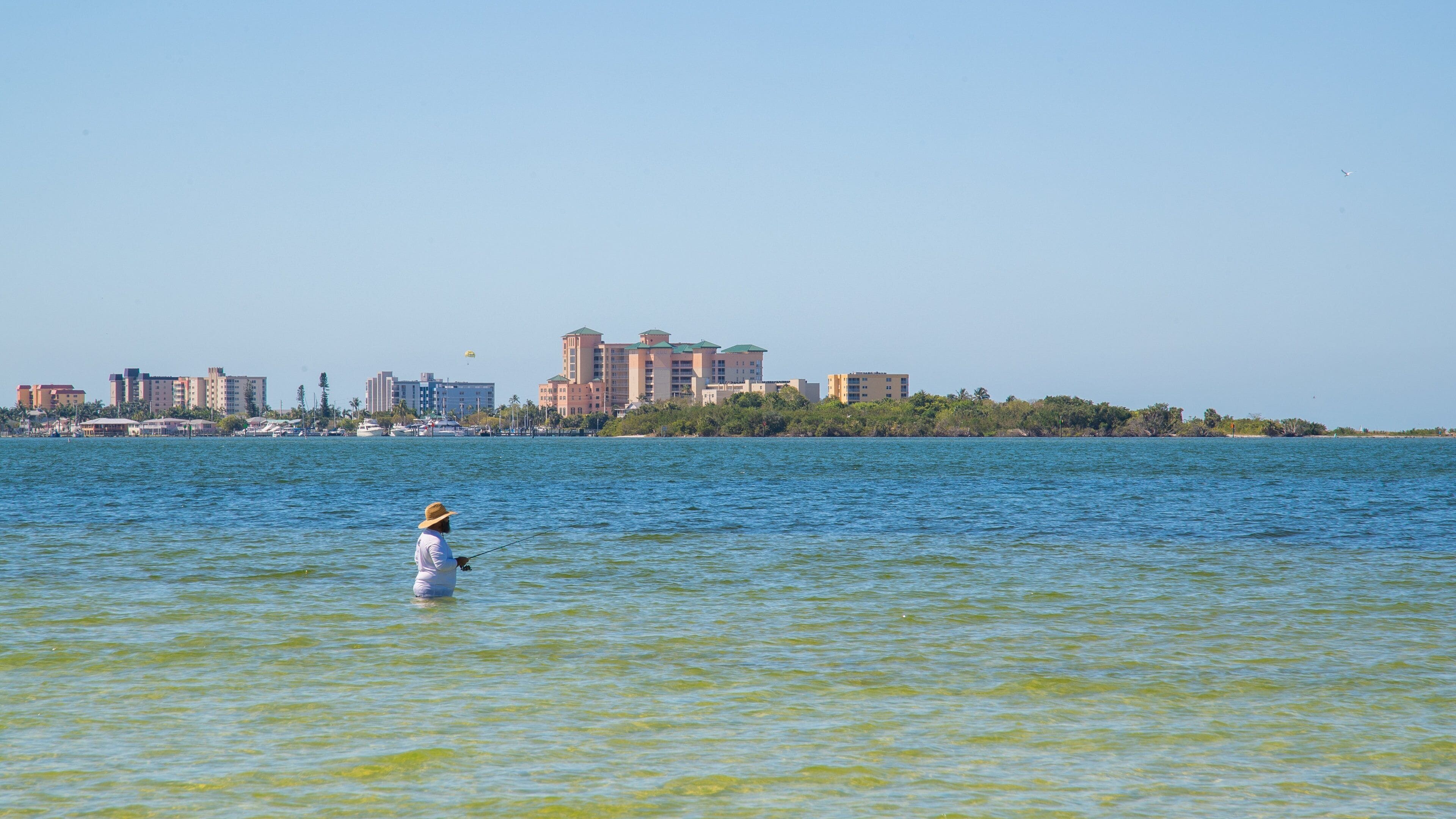 Bunche Beach featuring general coastal views and fishing as well as an individual male