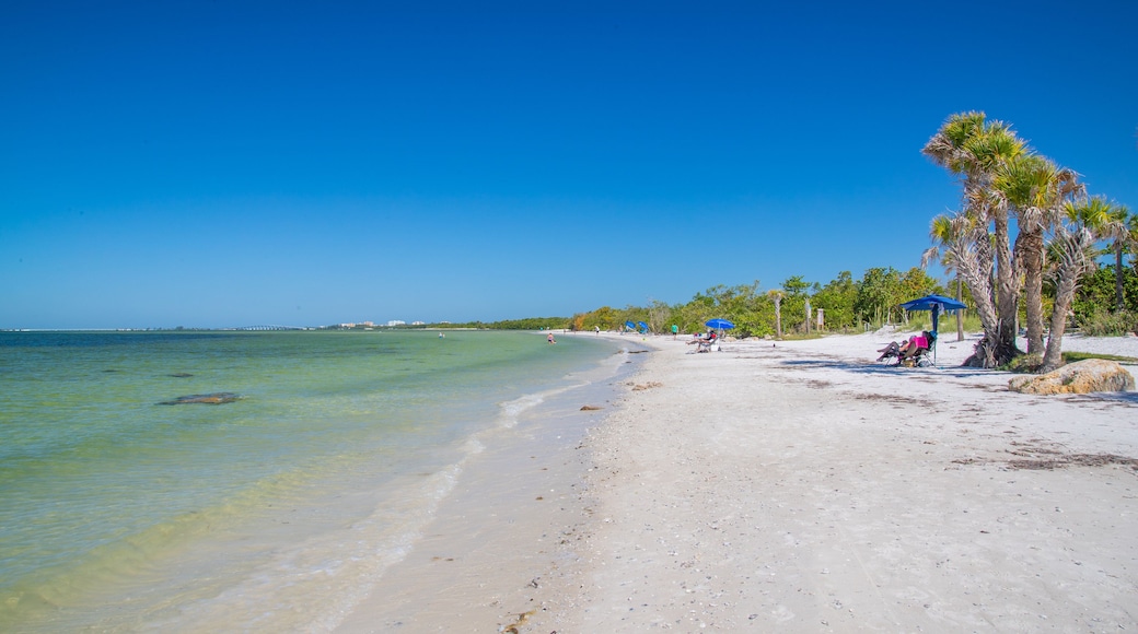 Bunche Beach featuring general coastal views and a beach