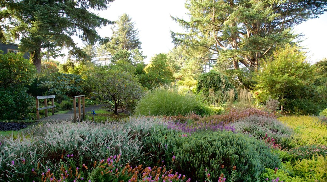 Connie Hansen Garden featuring a garden