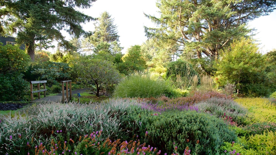 Connie Hansen Garden mostrando um parque