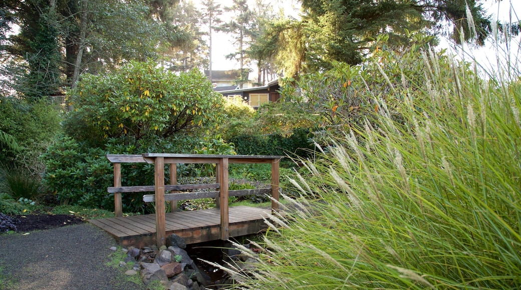 Connie Hansen Garden featuring a bridge and a park