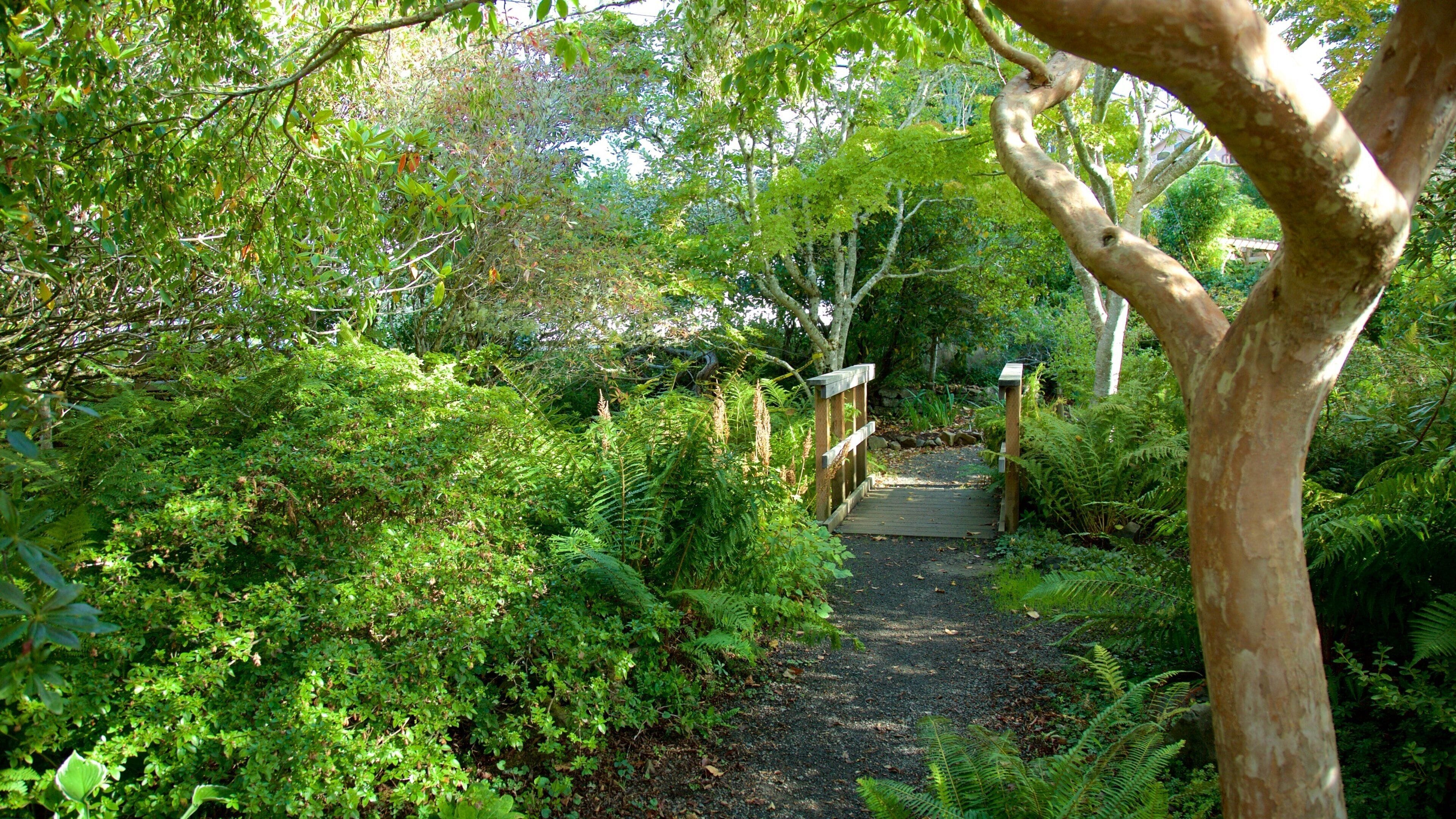Connie Hansen Garden which includes a garden and rainforest