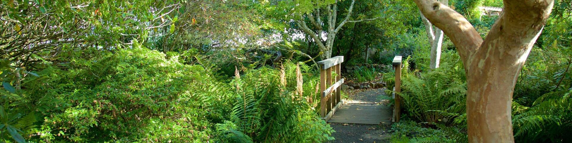 Connie Hansen Garden which includes rainforest and a park