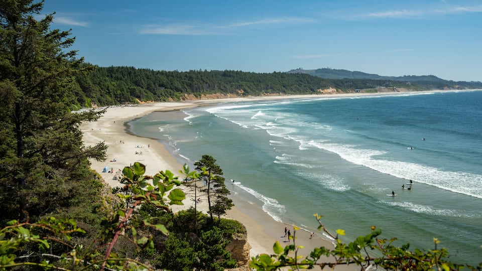 A coastal beach with clear waters, sandy shore, and dense forest in the background.